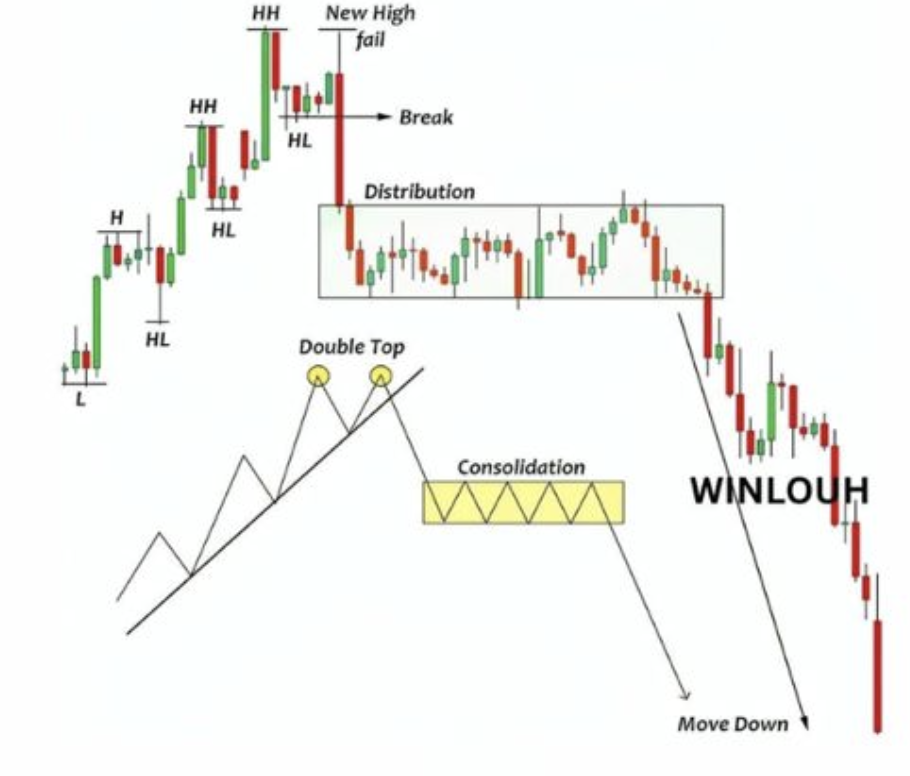 Gráfico de Distribución y Consolidación